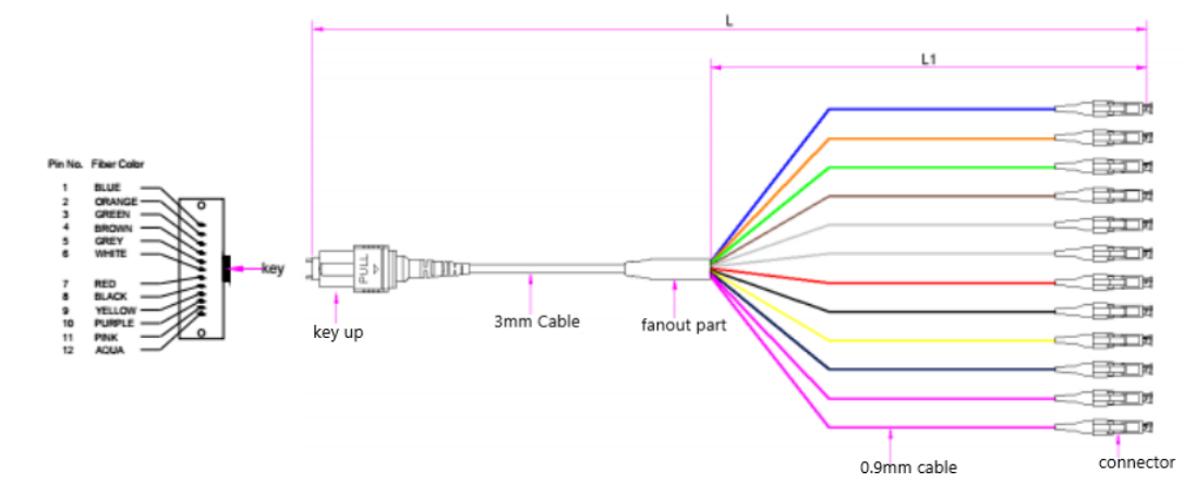MPO/MTP-LC 12 cores fan-out 0.9mm Type A Patch Cords.png MPO/MTP-LC 12 cores fan-out 0.9mm Type A Patch Cords.png