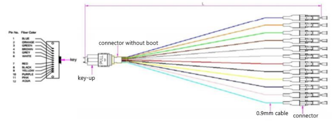 MPO/MTP-LC 12 cores ribbon fiber fan-out 0.9mm Type A Patch Cords.png MPO/MTP-LC 12 cores ribbon fiber fan-out 0.9mm Type A Patch Cords.png