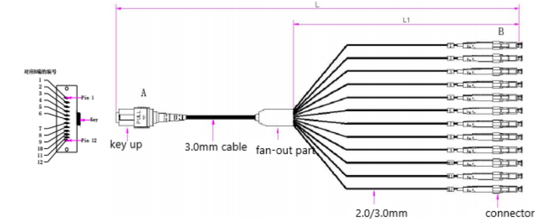 MPO/MTP-LC 12 cores fan-out 2.00mm Type A Patch Cords.png MPO/MTP-LC 12 cores fan-out 2.00mm Type A Patch Cords.png