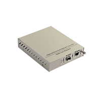 10G  Media Converter