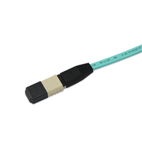 MPO Patch Cords