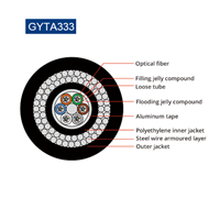 Submarine Fiber Cable