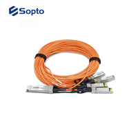 Active Optical Cable