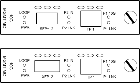 10G Media Converter Panel