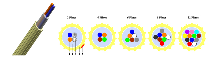 Fibre Unit Structure.jpg