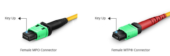 MTP and MPO Patch Cords.png