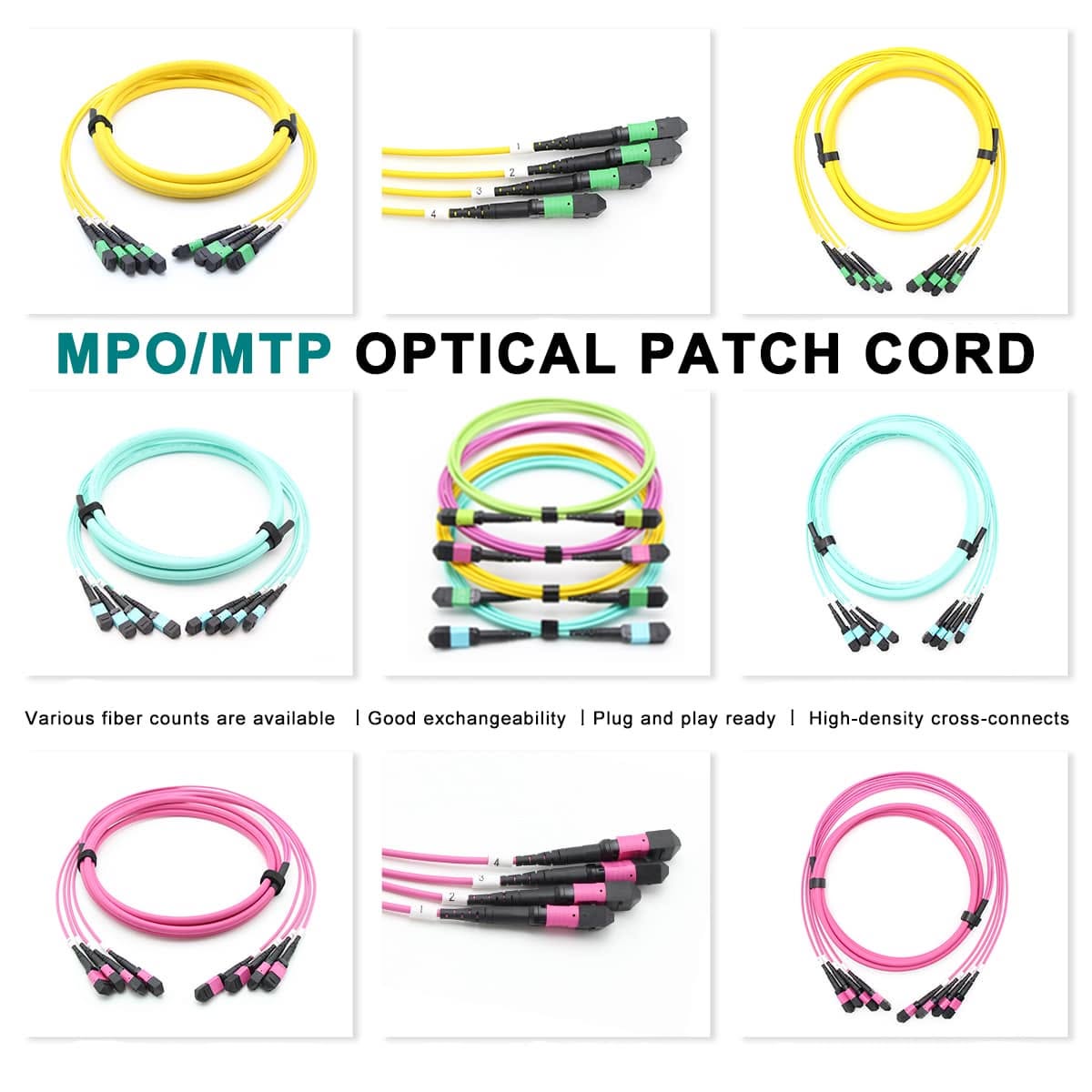 MPO Patch Cord.jpg MPO Patch Cord.jpg