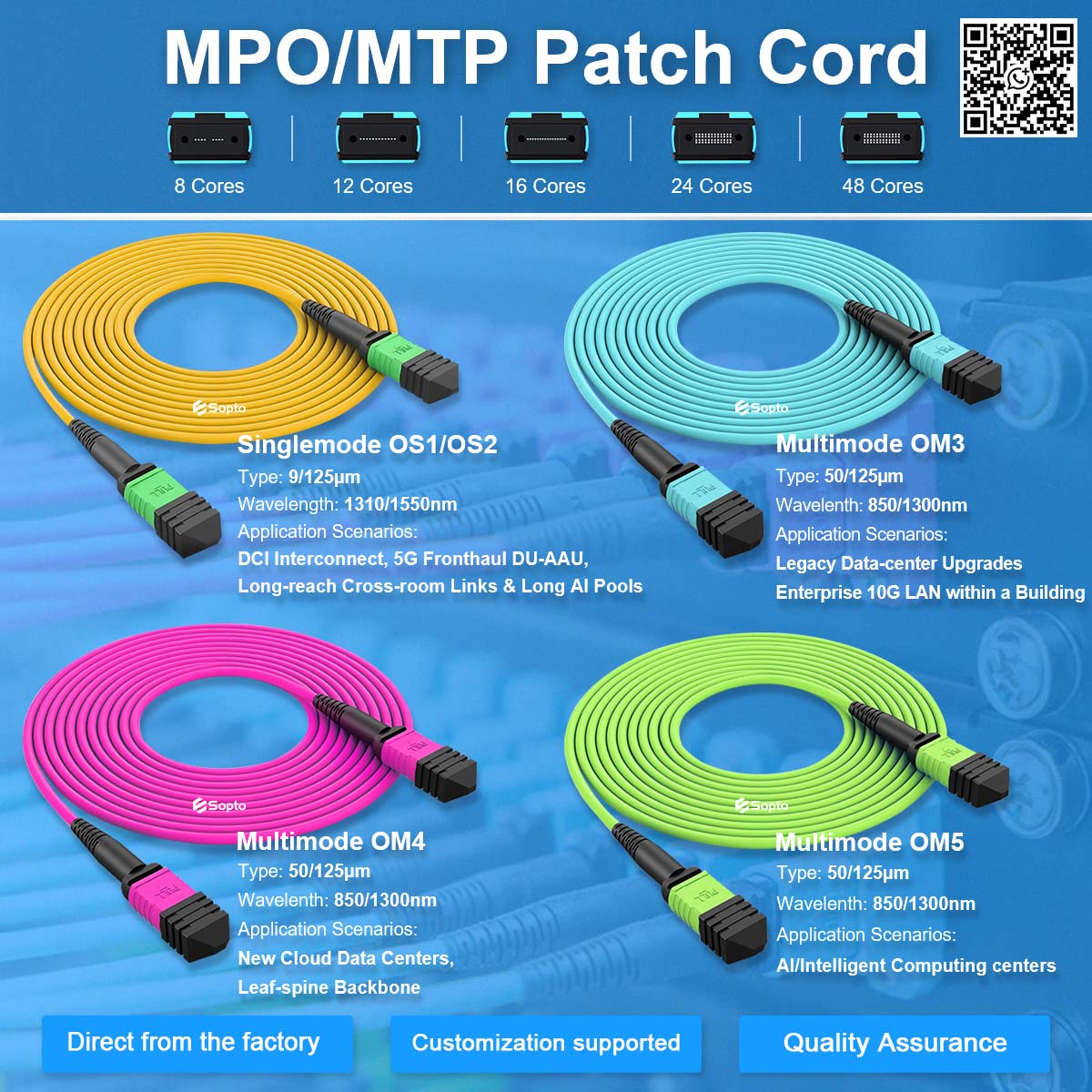 MPO patch cords.jpg MPO patch cords.jpg